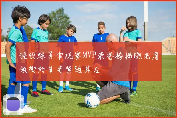 现役球员常规赛MVP荣誉榜揭晓老詹领衔约基奇紧随其后